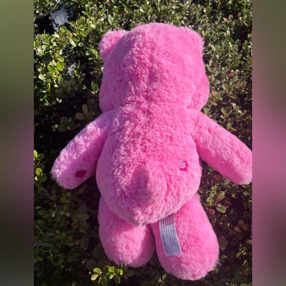 Care Bears 14” Cheer Bear Pink Plushie Perfect Stuffed Animal Super Soft Cuddly - Picture 4 of 11